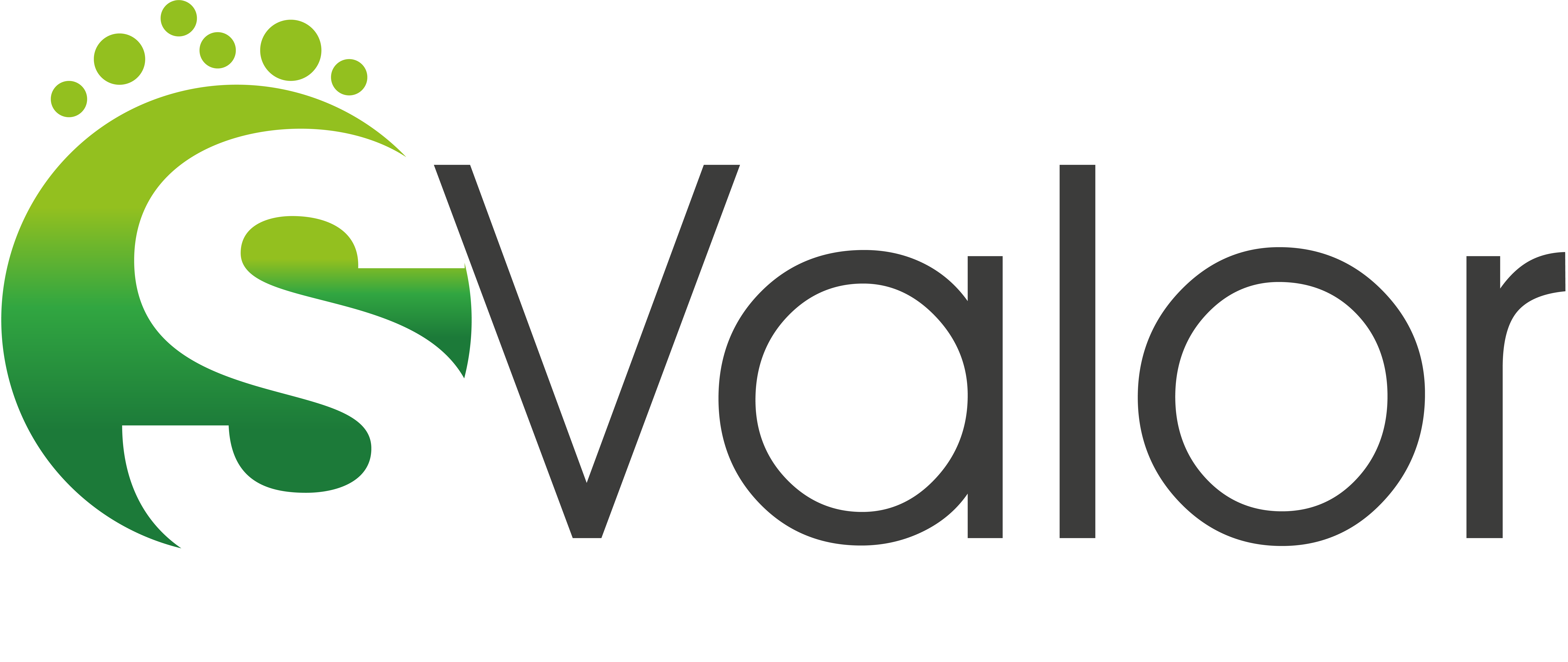 LOGO%20SValor